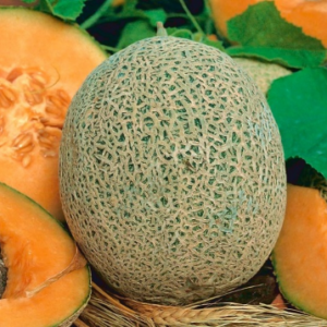 melon-emir