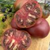 Tomat 'Tuula Must' - Image 2