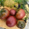 Tomat 'Tuula Must' - Image 3