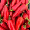 Jalapeno 'Goliath' - Image 5