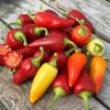 Jalapeno 'White'