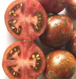 Tomat 'Prince Zebra'
