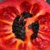 Karvane paprika 'Arequipa Gigant' - Image 6