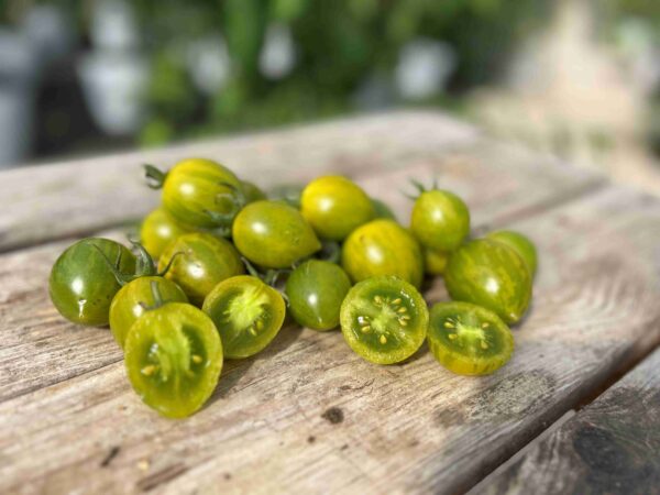 Tomat 'Green Grape'