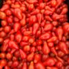 Tomat 'Red Dwarf Romanian' - Image 6