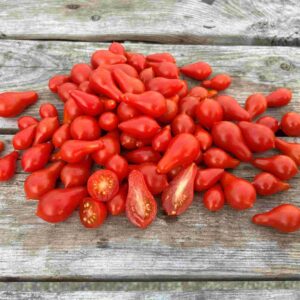 Tomat 'Red Dwarf Romanian'