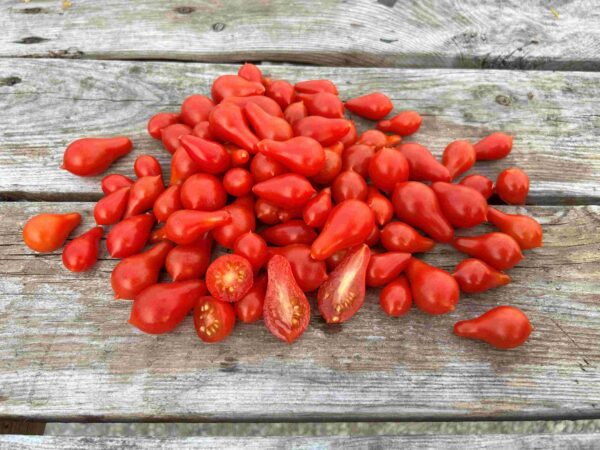 Tomat 'Red Dwarf Romanian'