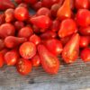 Tomat 'Red Dwarf Romanian' - Image 7