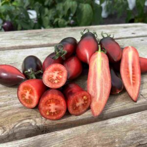 Tomat 'Slivka Gurman'