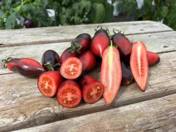 Tomat 'Slivka Gurman'
