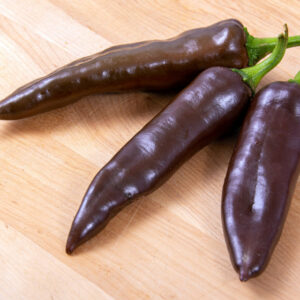 Magus paprika 'Ramiro Chocolate'