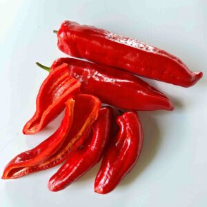 Magus paprika 'Ramiro Red'