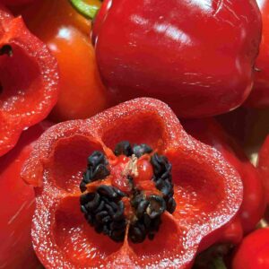 Karvane paprika 'Peron'