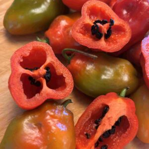 Karvane paprika 'Aji Largo'